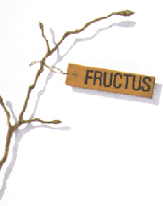 Fructus